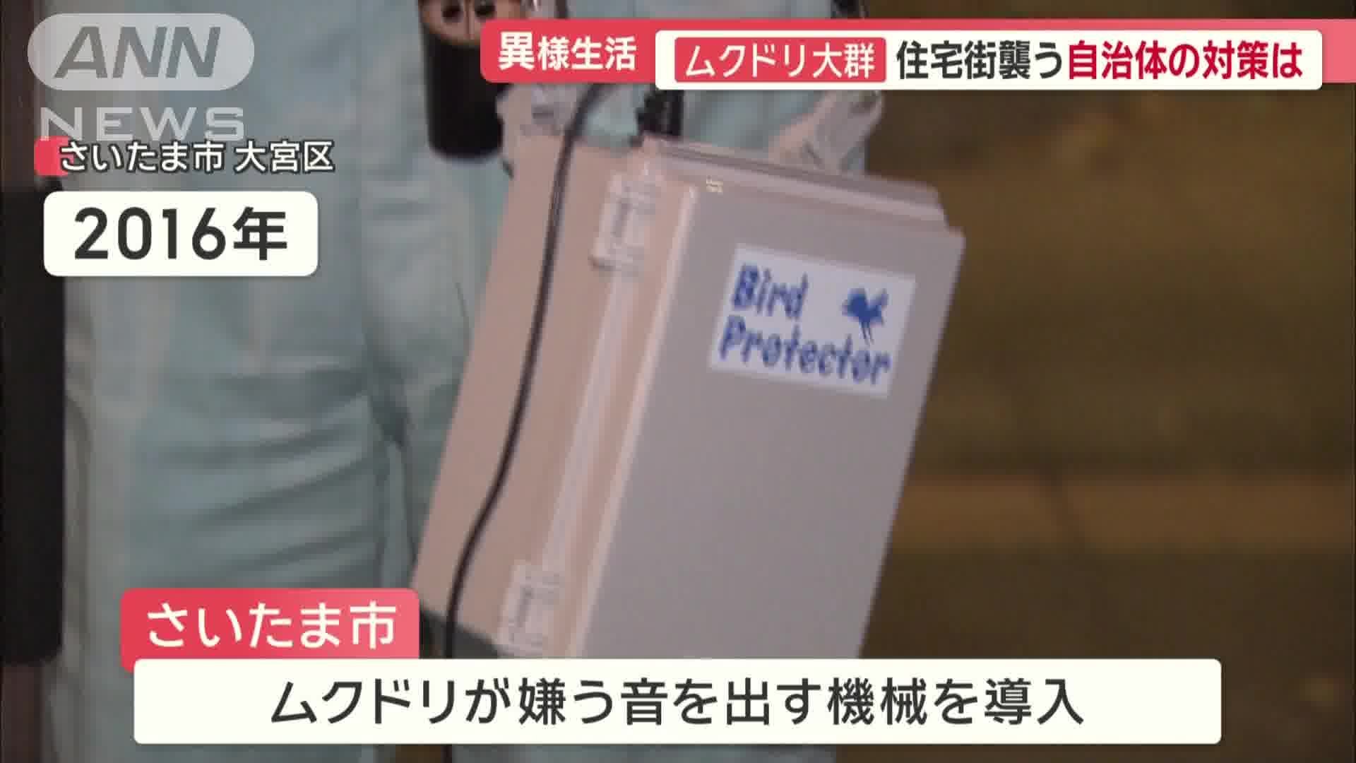 さいたま新都心駅周辺のムクドリ被害