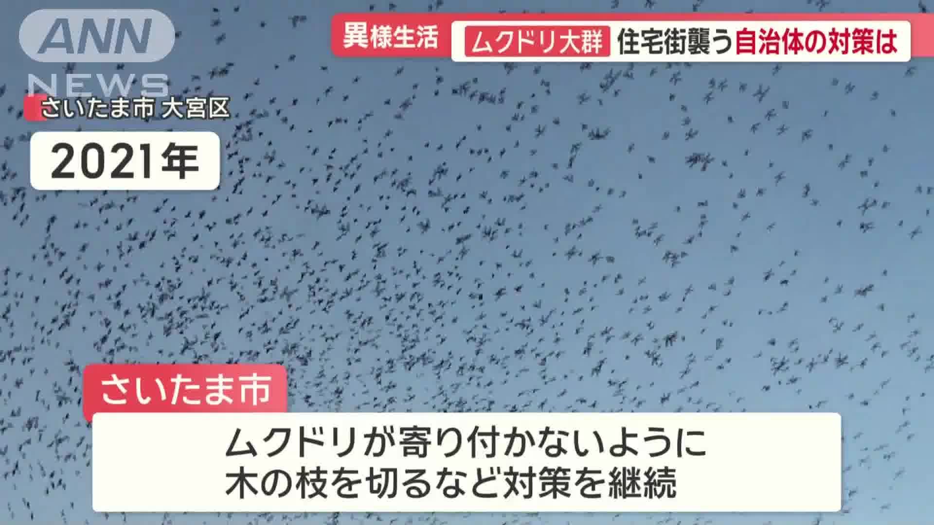 さいたま市の対策　今後も続く予定