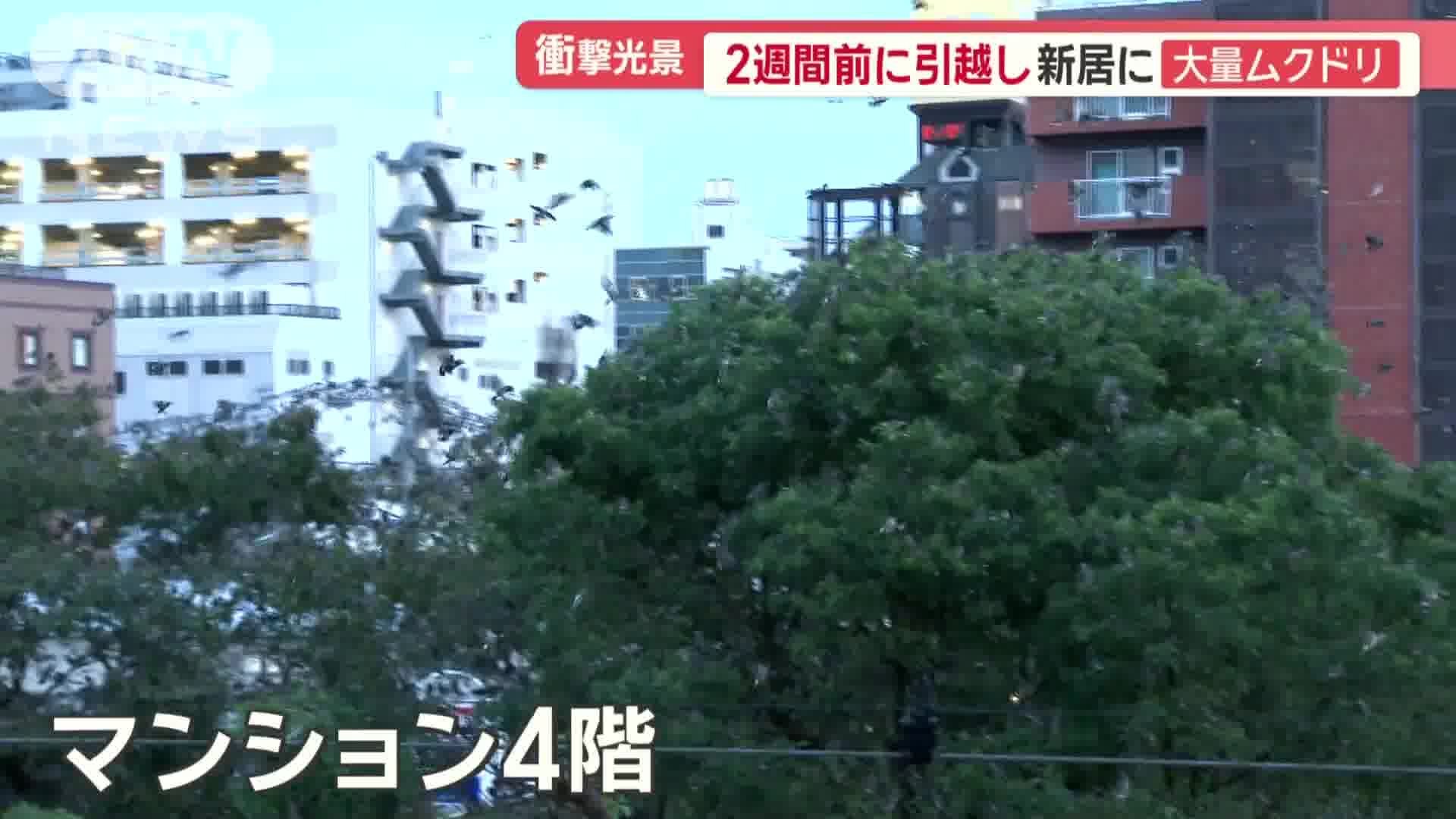 マンションの4階