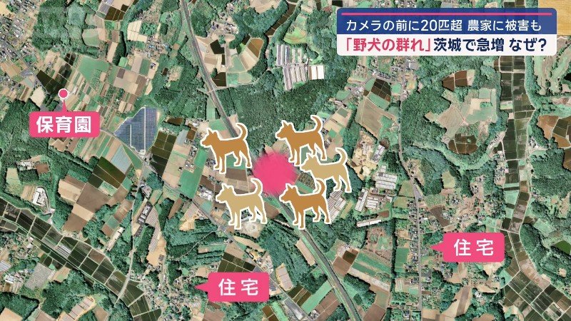 近くには住宅も