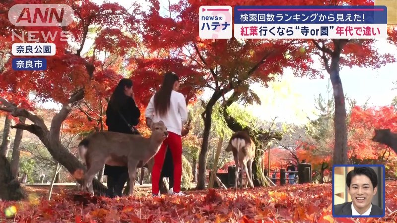 奈良公園