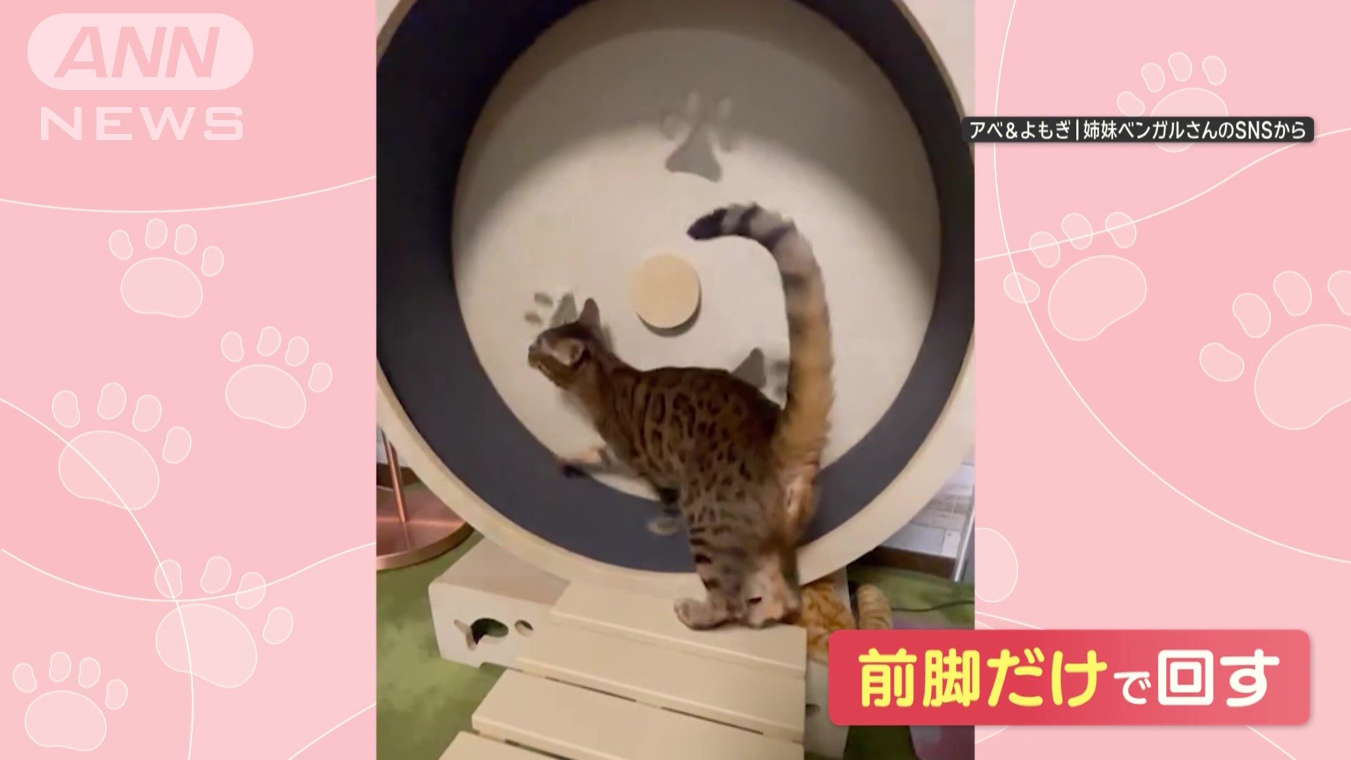 前脚だけで回す