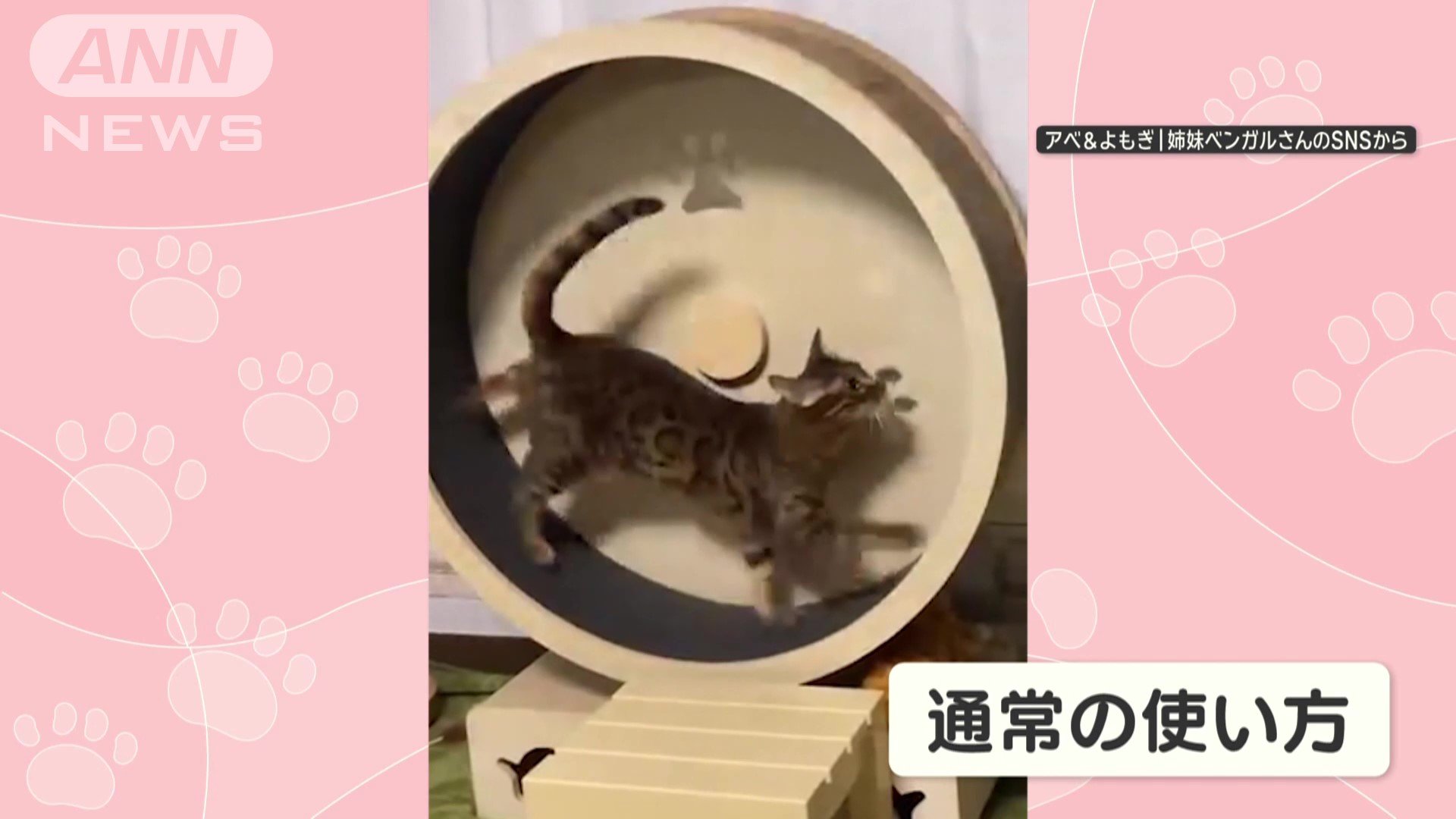 通常の使い方はしないの？