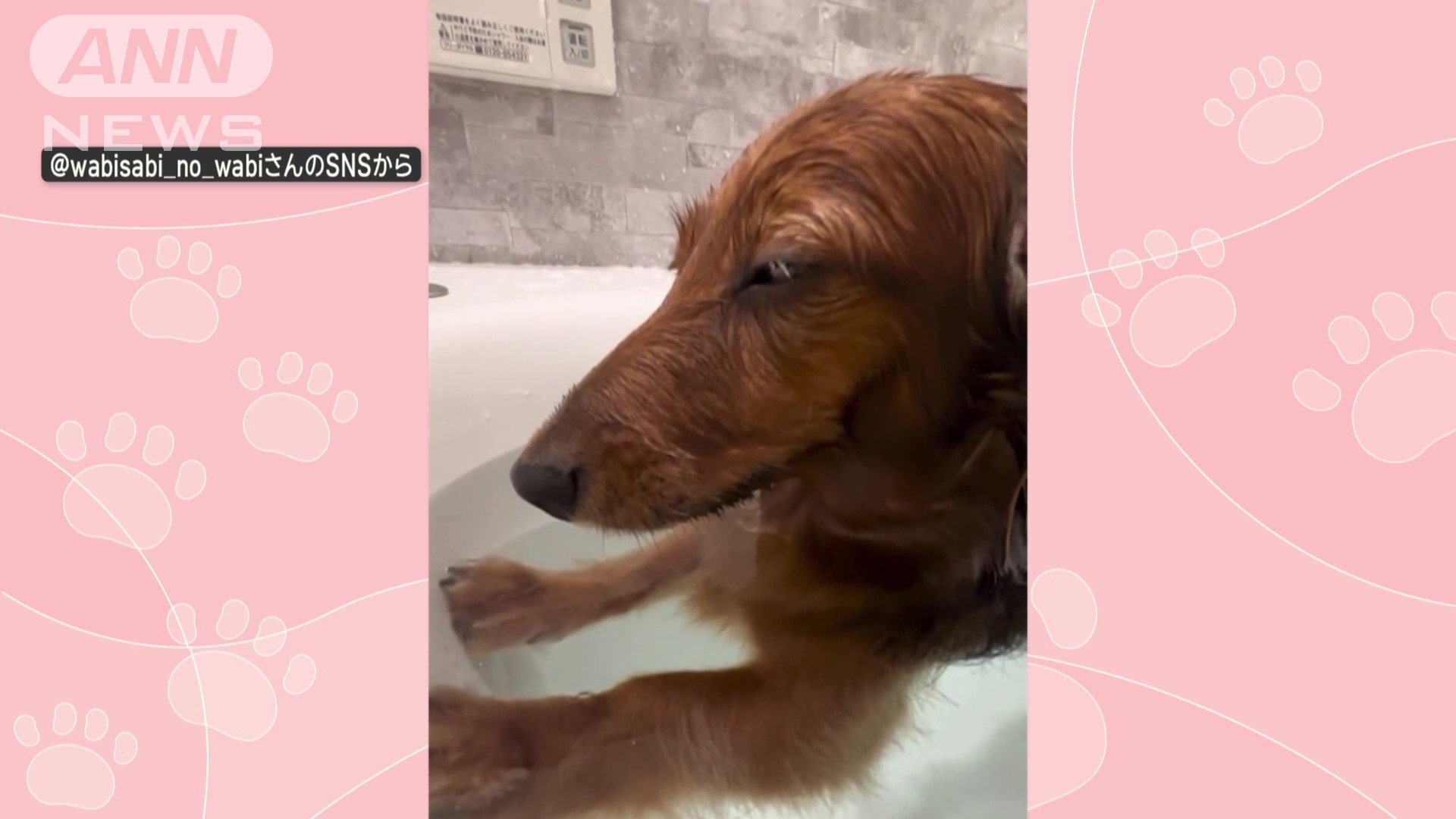 気持ちよくて、目がとろ〜ん