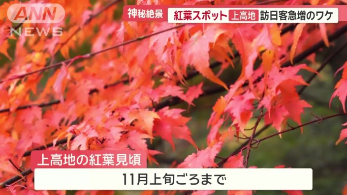 11月上旬ごろまで深まる秋を楽しめる