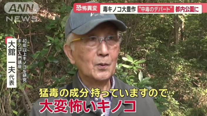 カエンタケについて