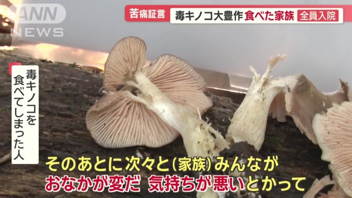 「私が一番最初に吐き気がして…」