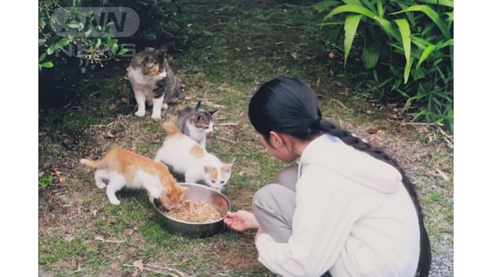 愛子さま