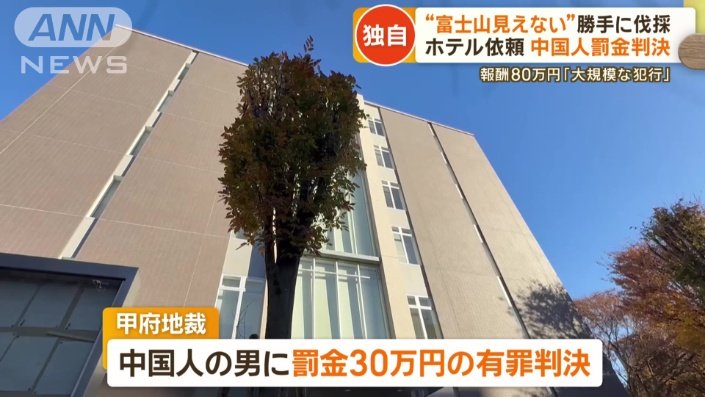 罰金30万円の有罪判決