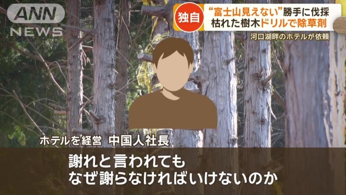 「なぜ謝らなければいけないのか」
