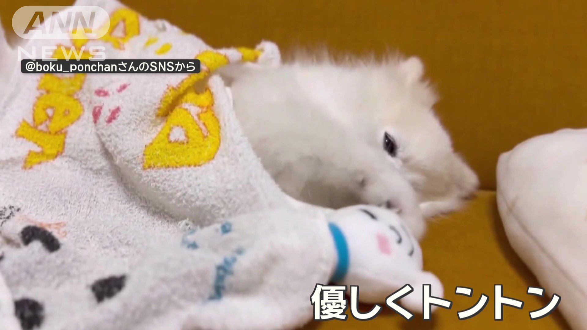 優しくトントン