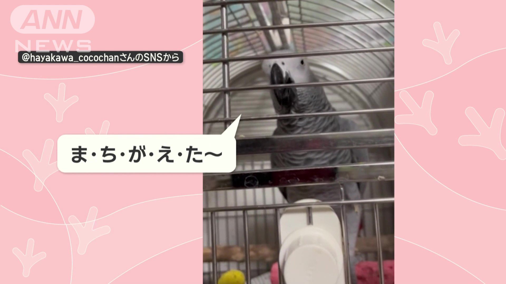 「間違えた〜」