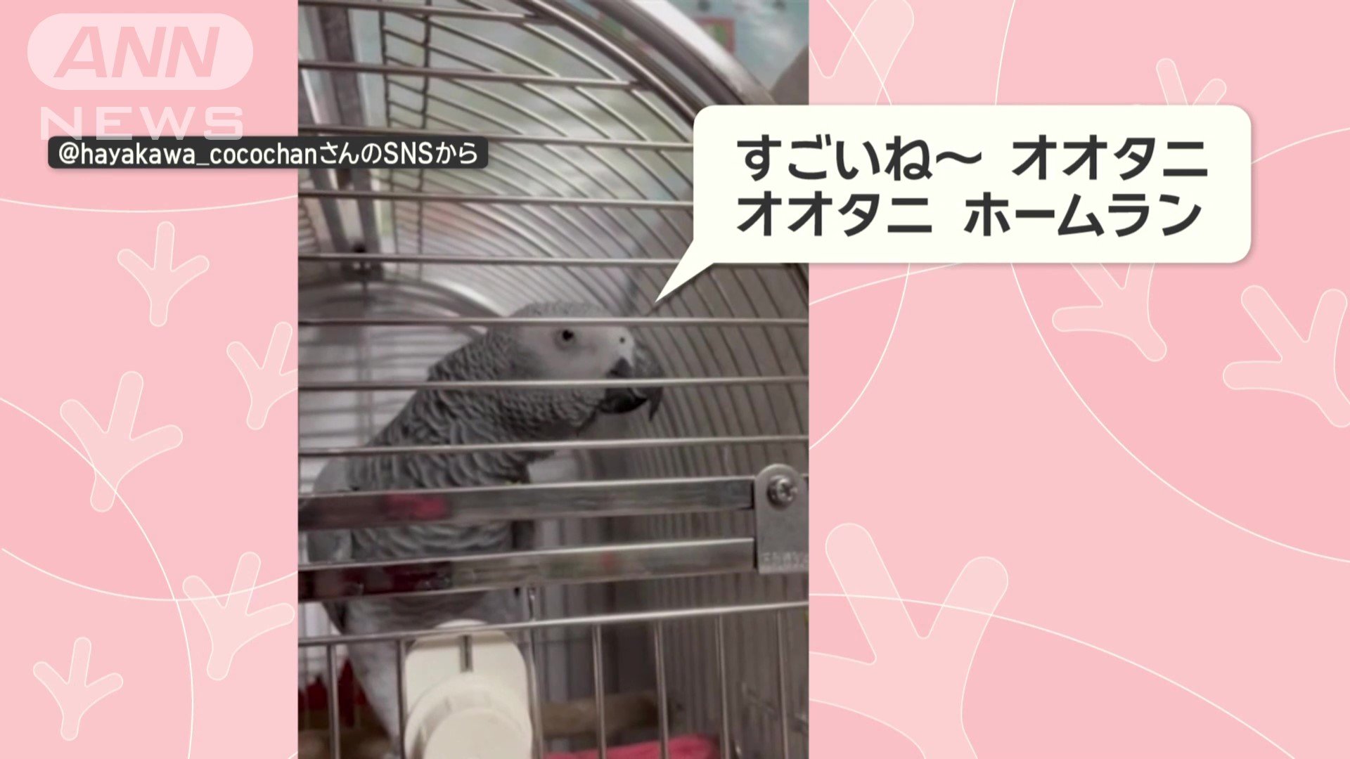 大谷選手を褒める