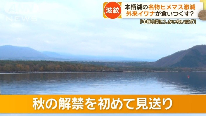 初の解禁見送り