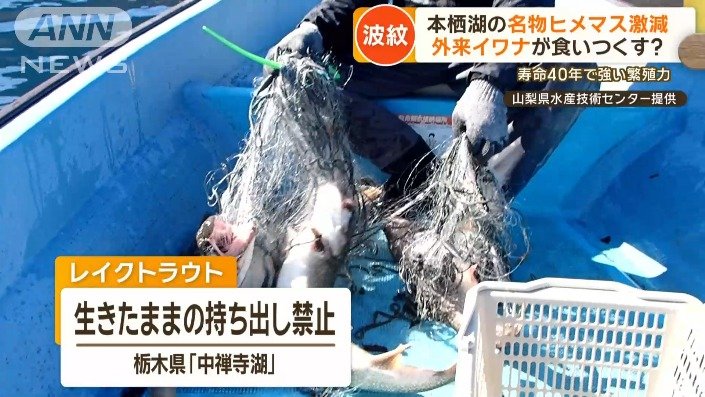 持ち出し禁止