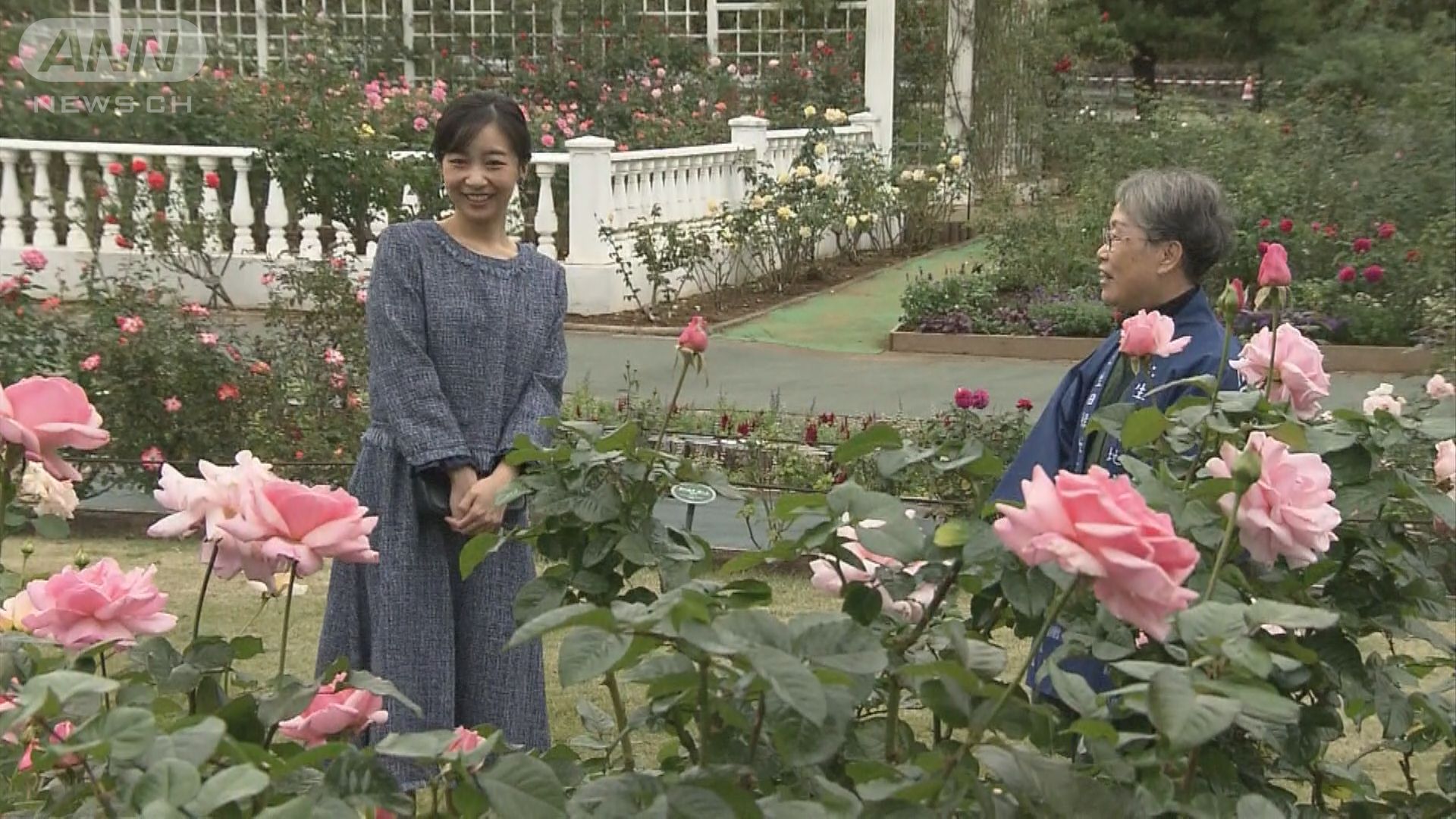 生田緑地ばら苑