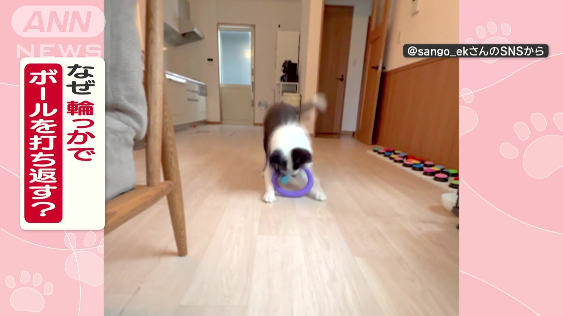 なぜ輪っかでボールを打ち返す?