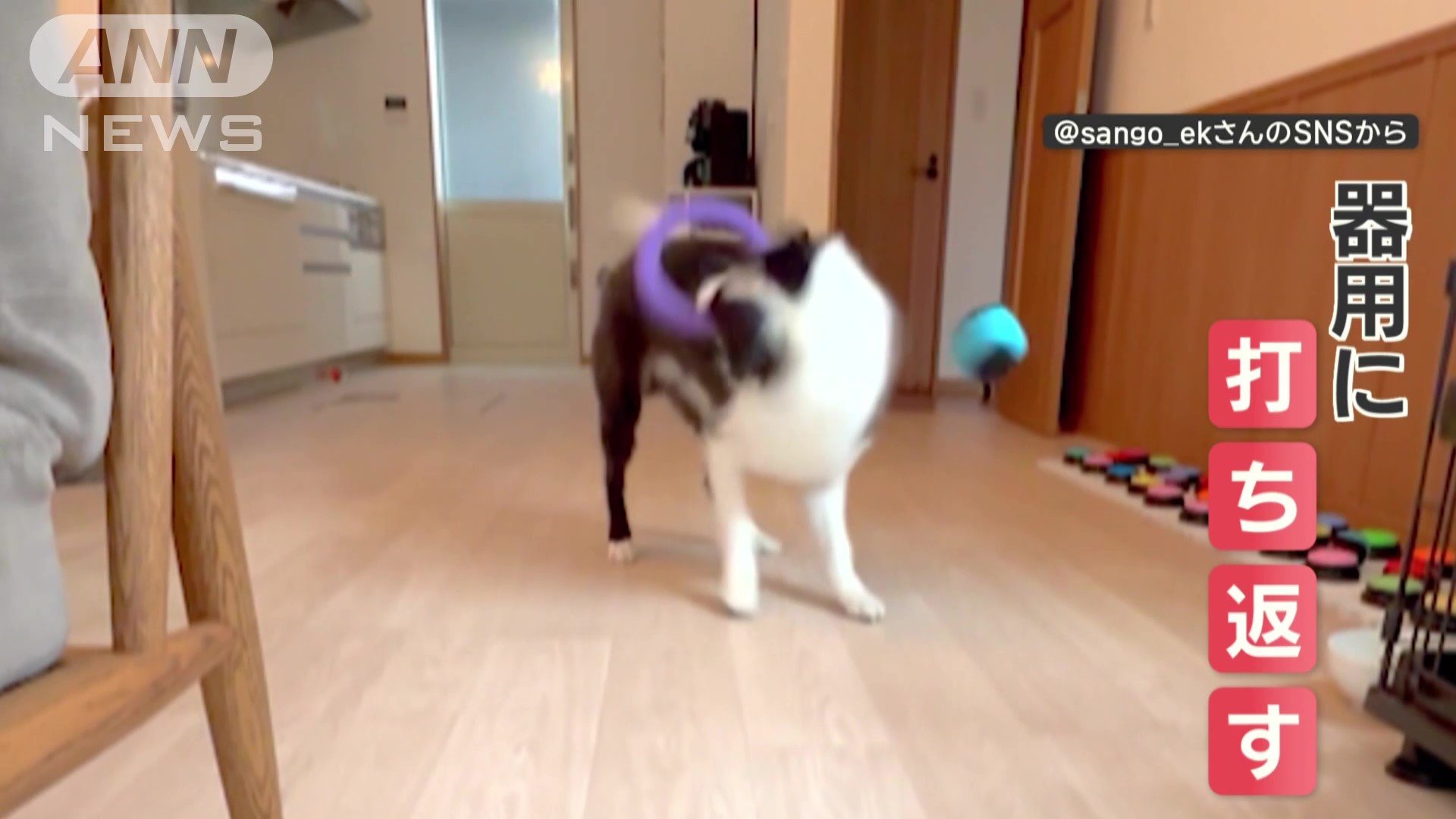 頭を左右に動かし、打ち返す