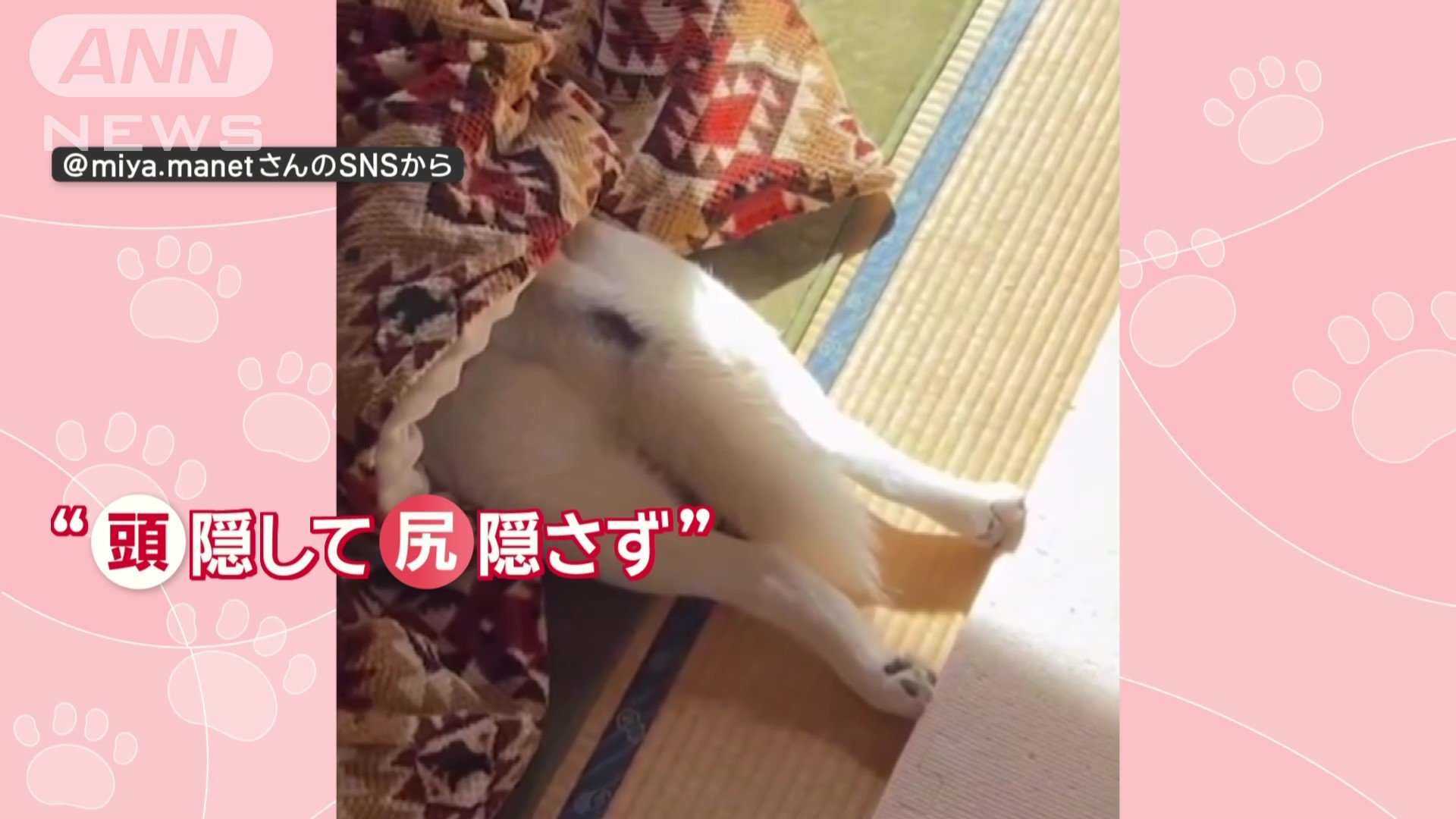 “頭隠して尻隠さず”状態!