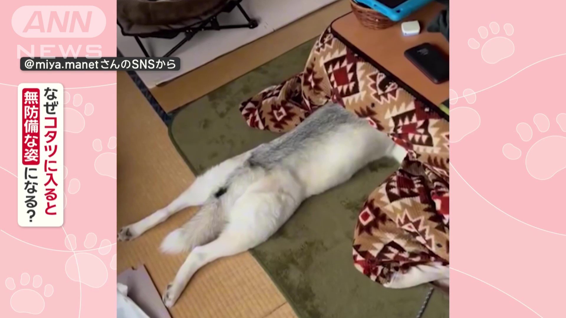 なぜ無防備な姿になる?