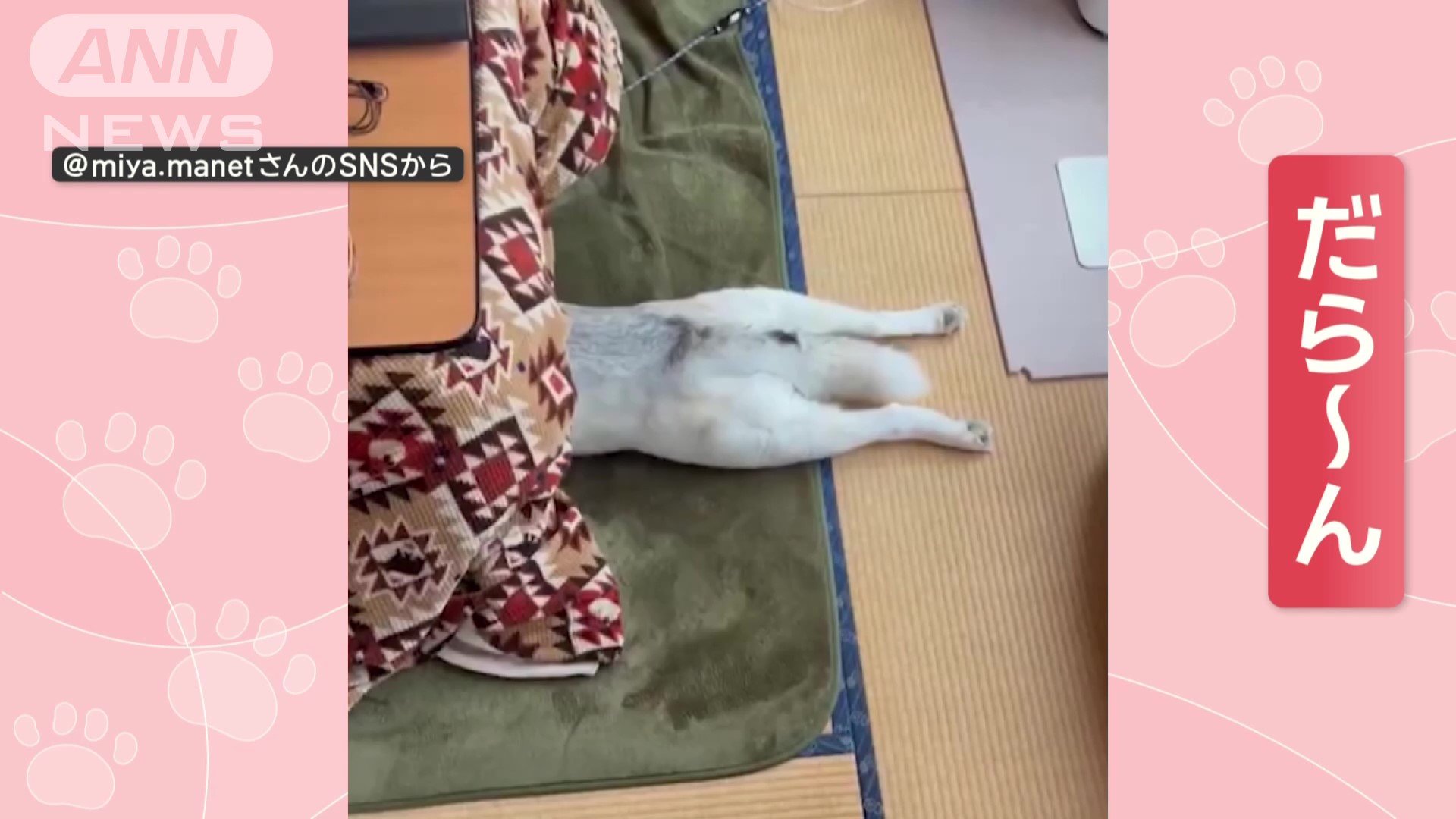 コタツに頭を突っ込むと…