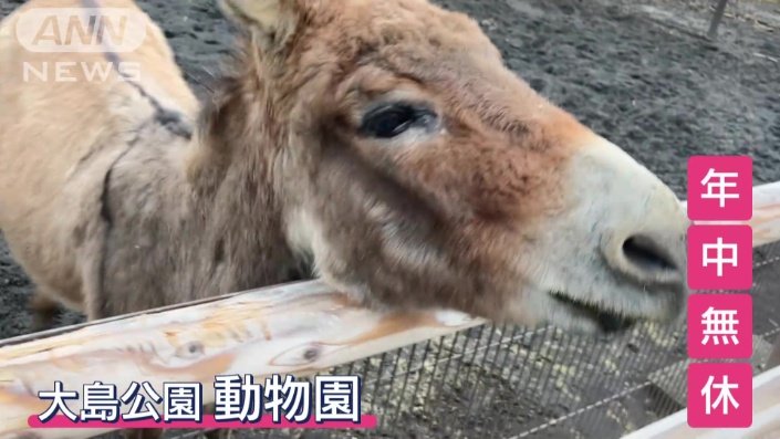 入園料は無料
