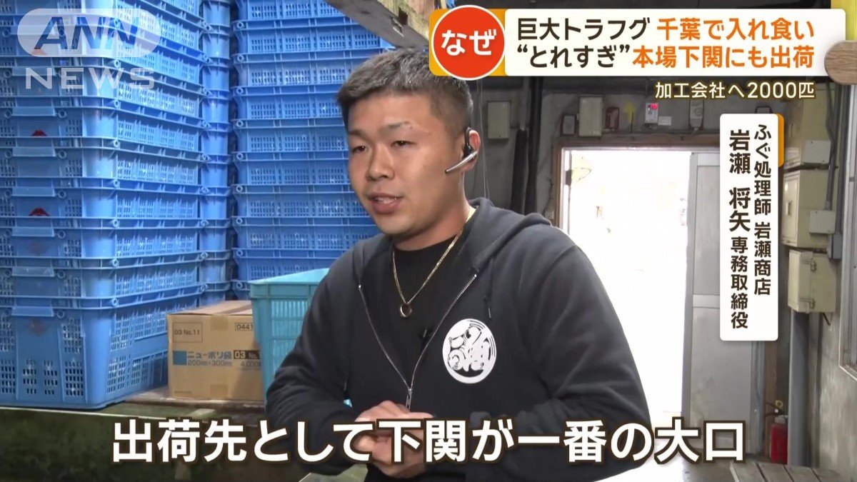 ふぐ処理師　岩瀬商店　岩瀬将矢専務取締役