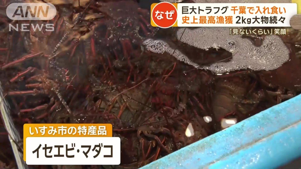 これまではイセエビが特産品だったが…