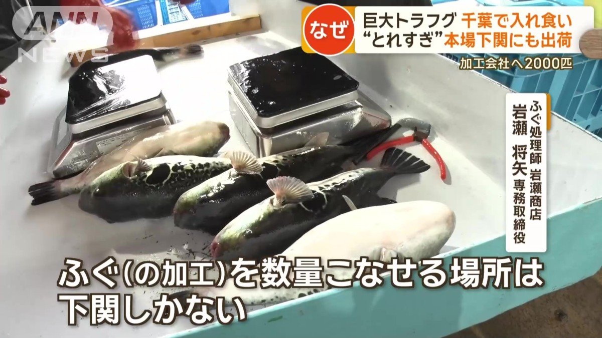下関へ運ぶ理由
