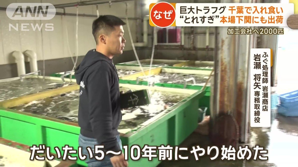 岩瀬専務取締役「徐々に年々本数が増えてきて」