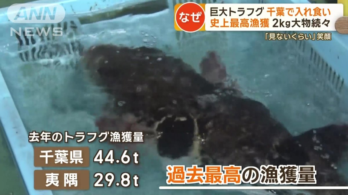 史上最高の漁獲量