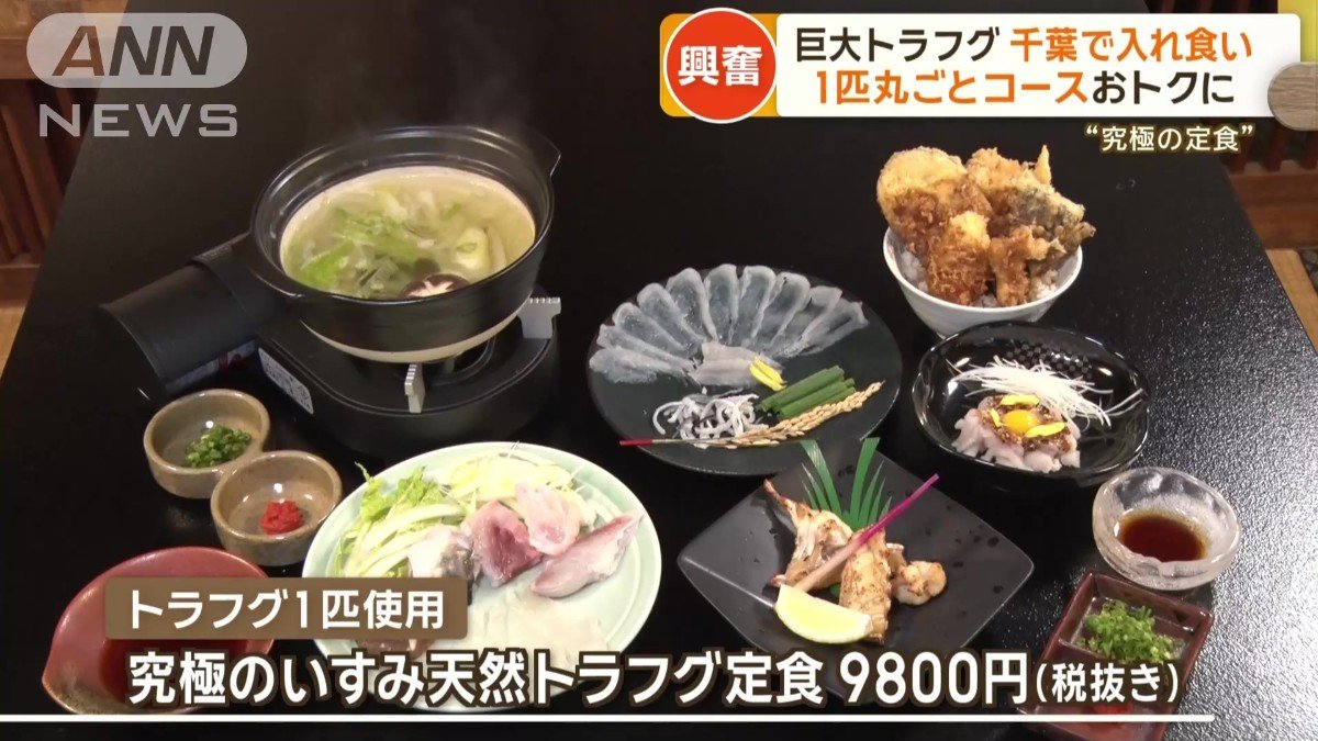 コース料理を1万円を切る価格で提供