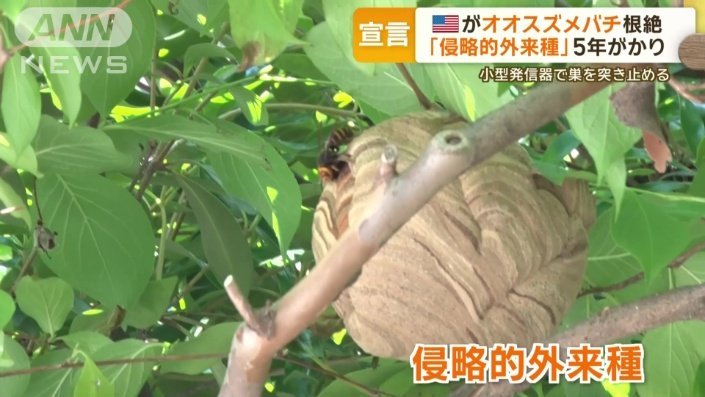 アメリカでは「侵略的外来種」