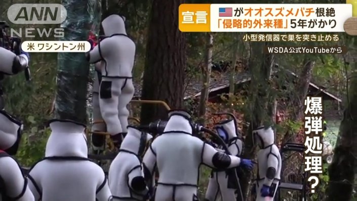 まるで爆弾処理？