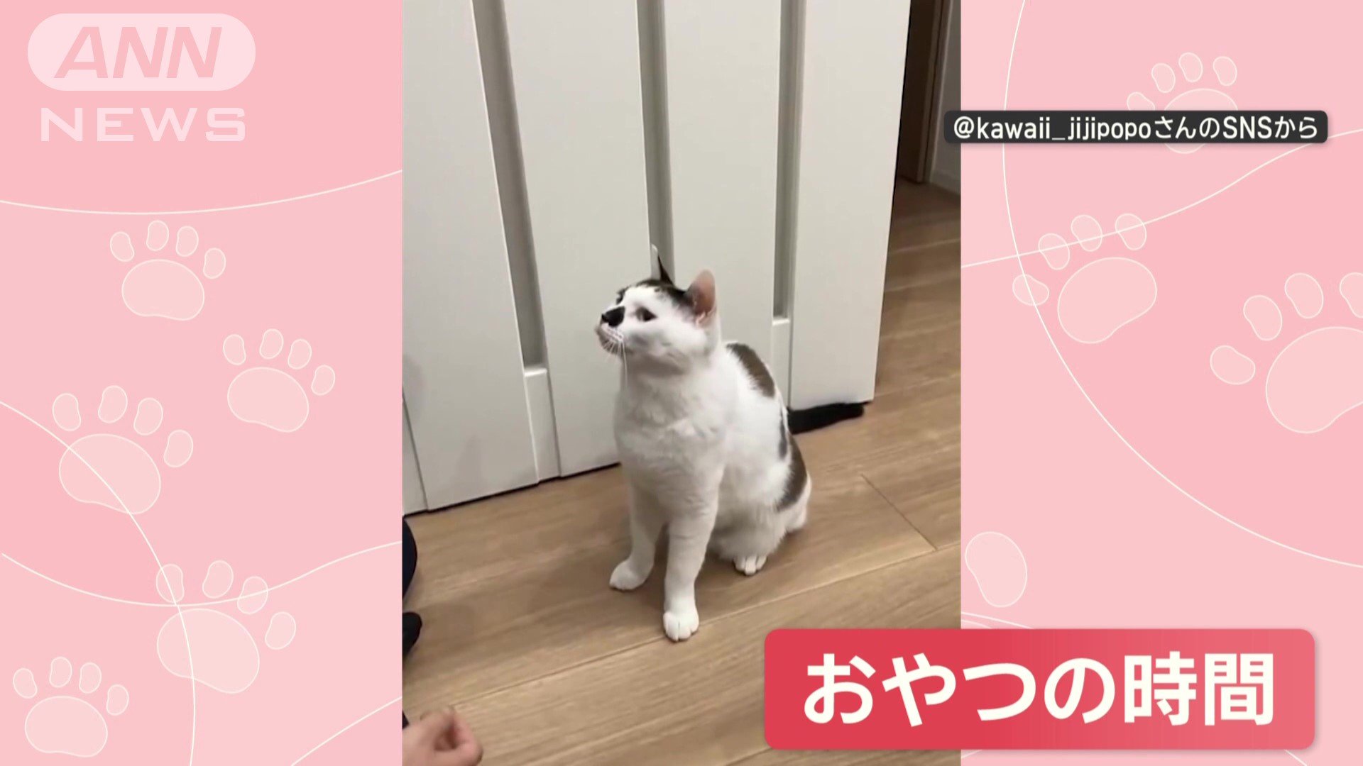 おやつの時間