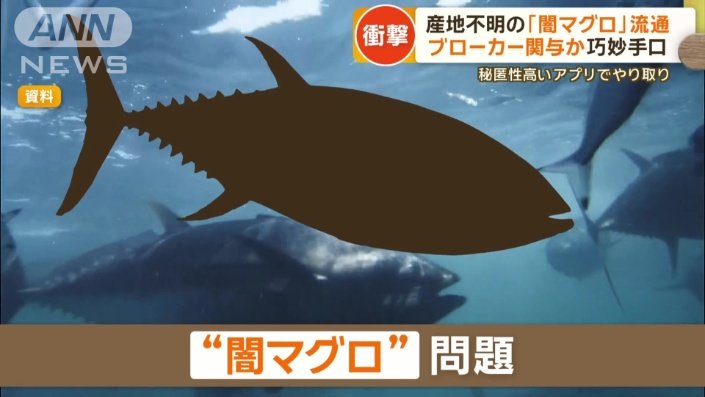 闇マグロ