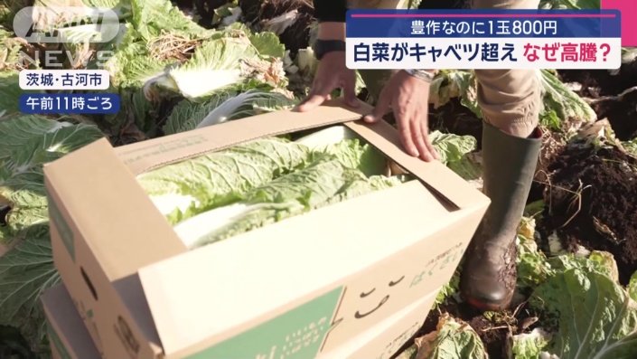 箱も閉まらないほど…