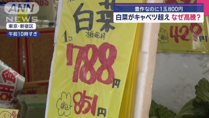 ハクサイ1玉800円超え