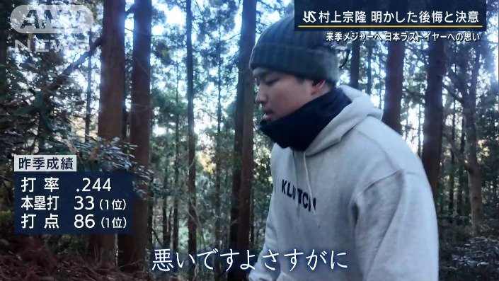 打率 .244・本塁打33 ・打点86