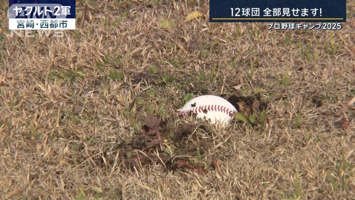 打球が地面にめり込む