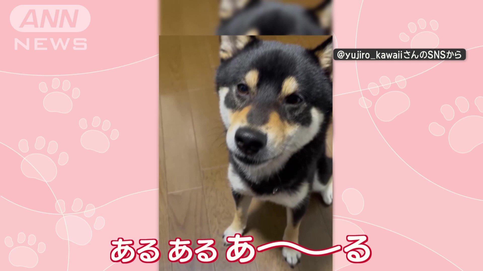 「ある ある あ〜〜〜る」