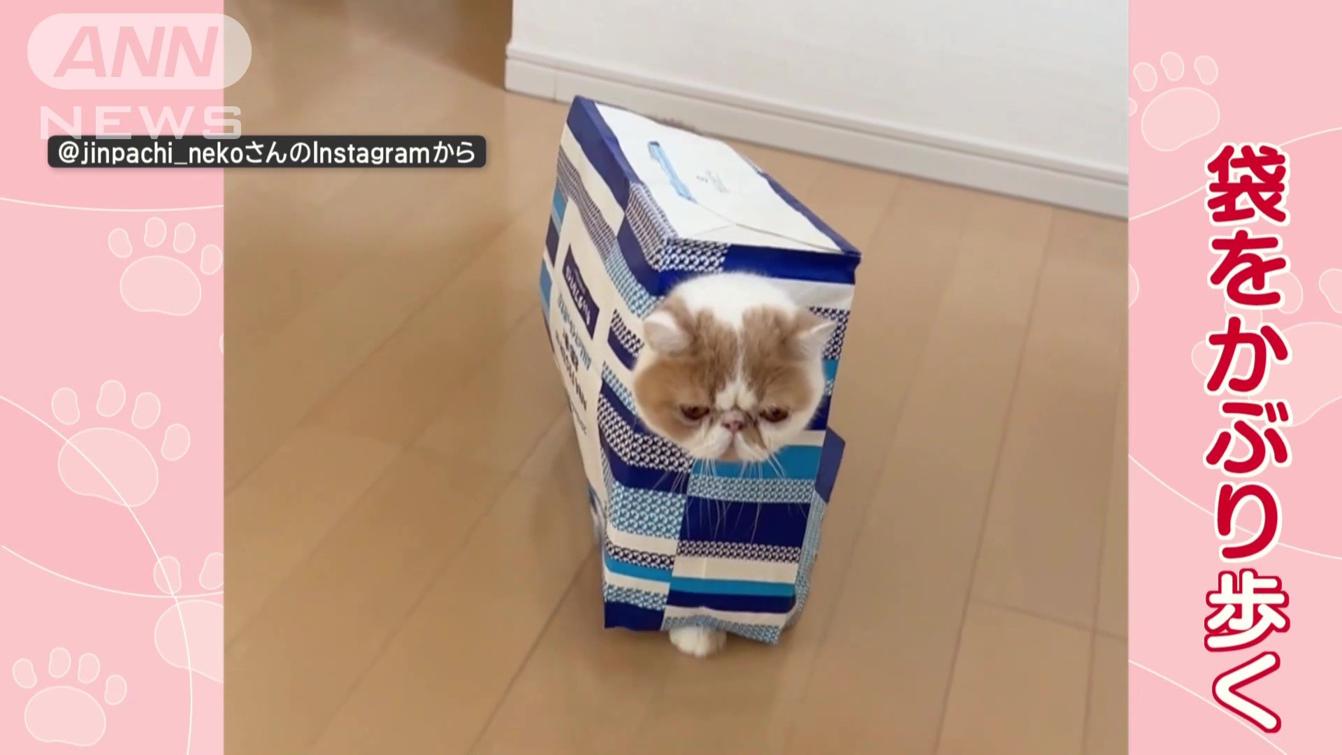 袋をかぶり歩く