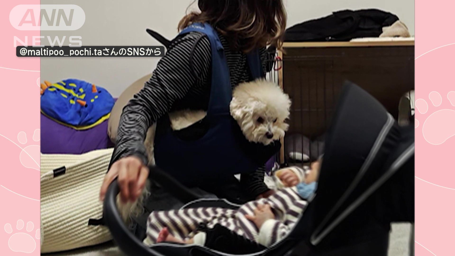 “抱っこひも”に納まったのは…ワンちゃん