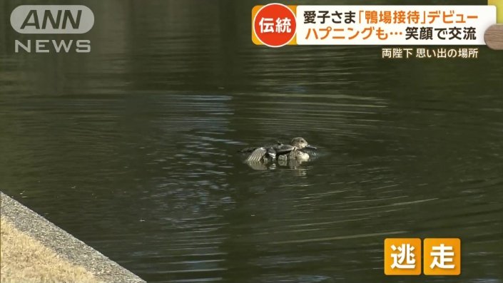 ハプニングが