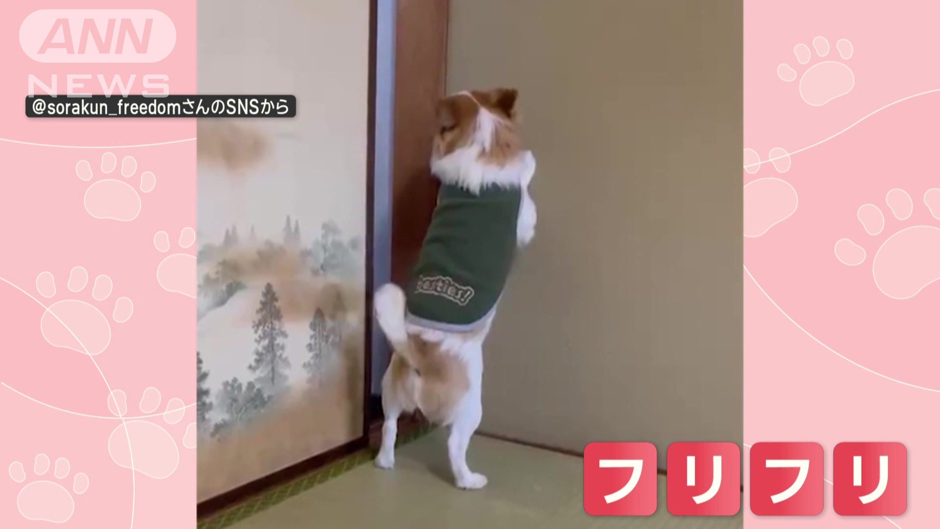 入った後は、しっぽをフリフリ