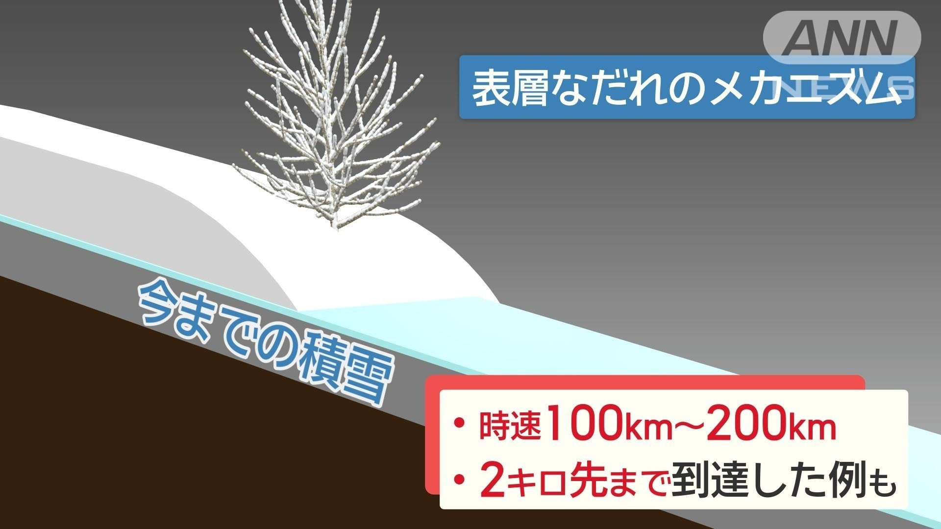 「表層なだれ」の特徴は速度が速く到達距離も長い