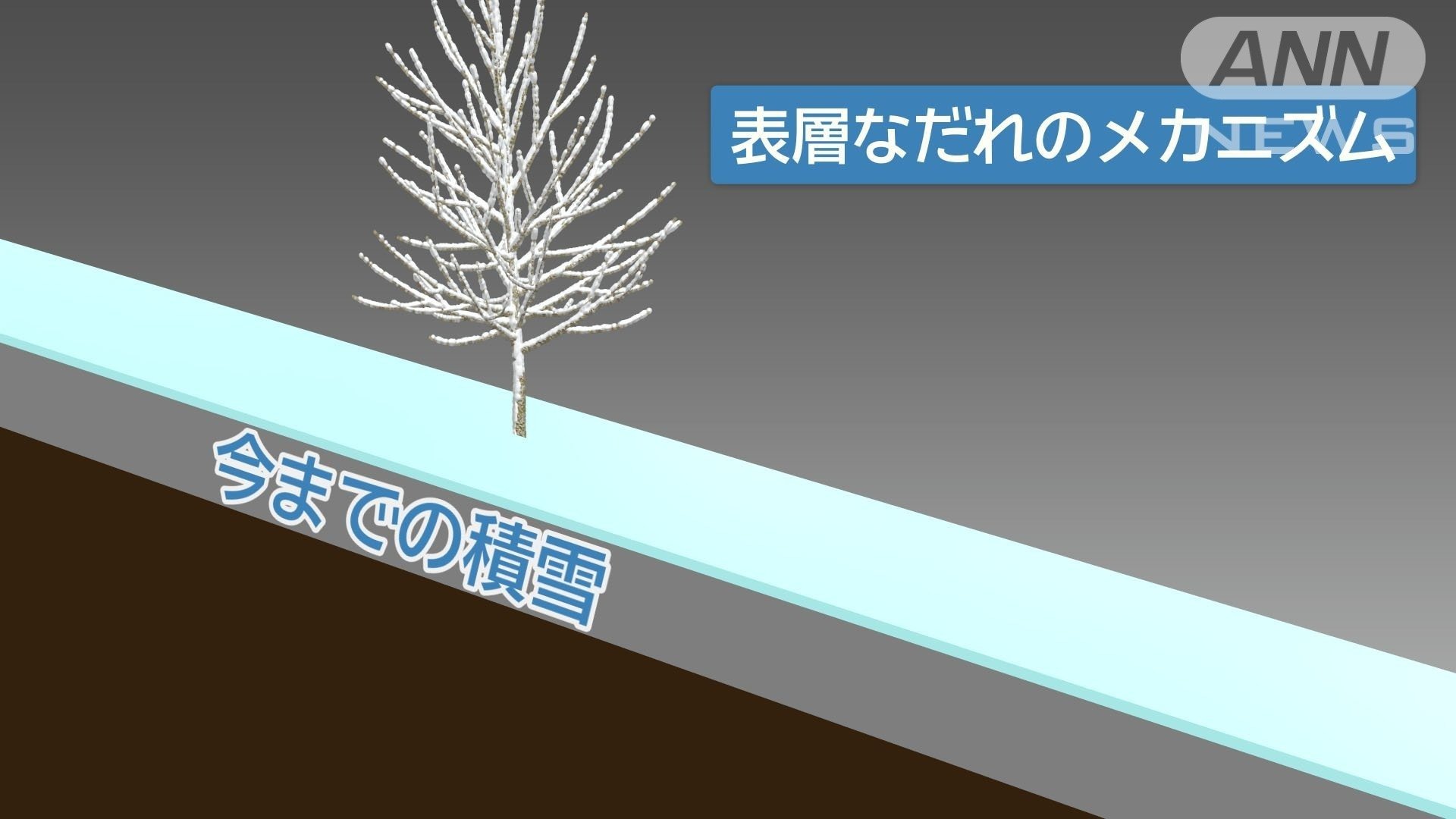 積雪の多い傾斜地