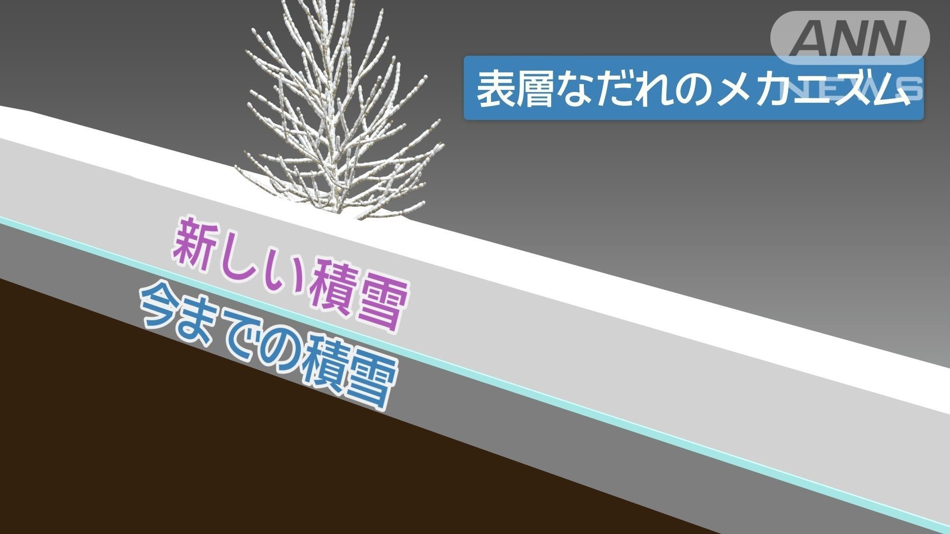 これまでの積雪の上にさらに新しい積雪で雪崩が発生しやすくなる