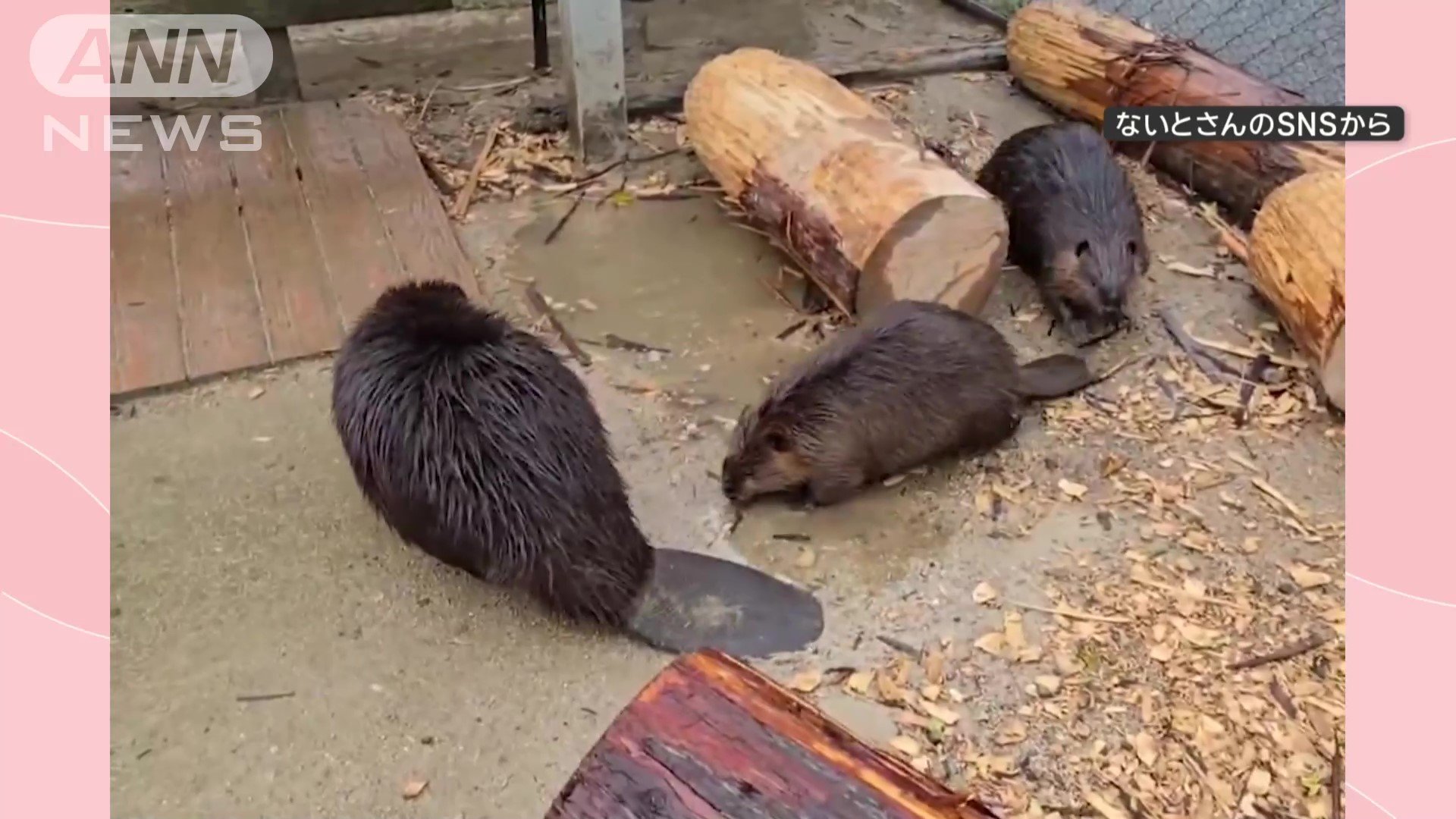 一列で歩く