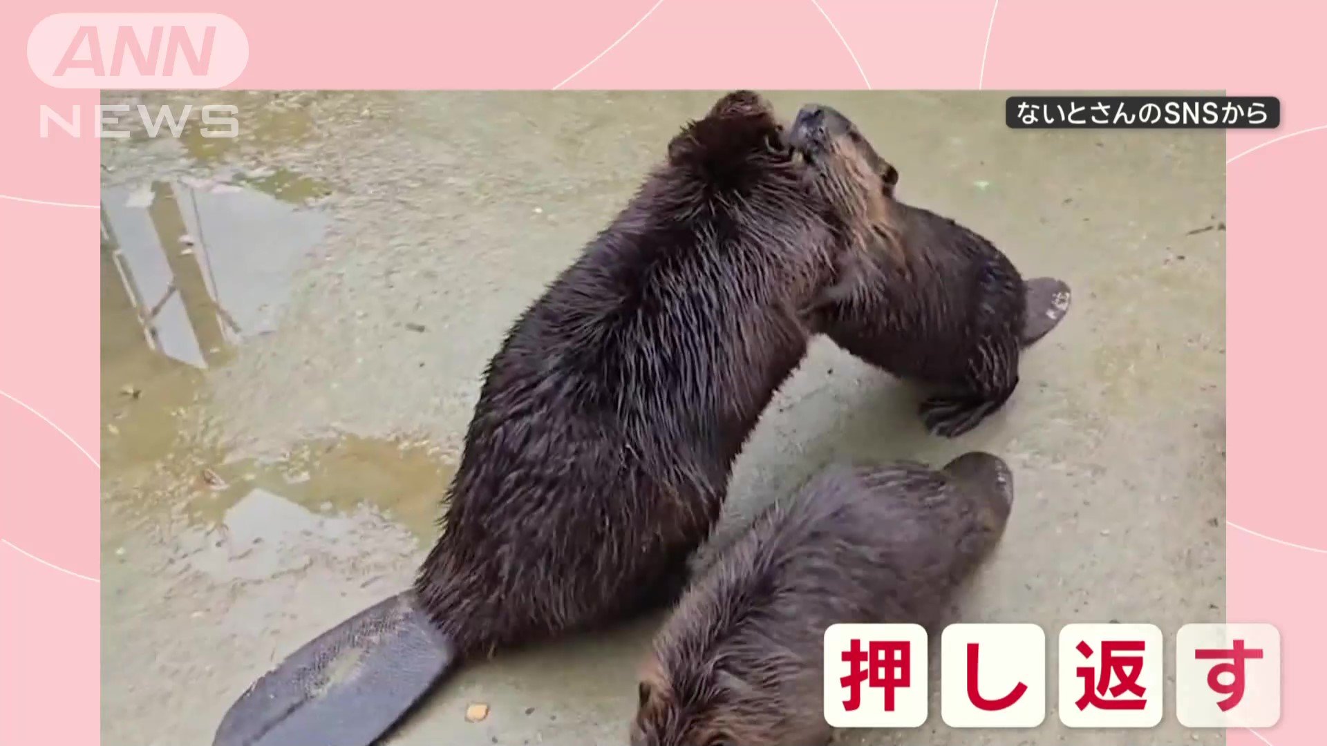押し返す